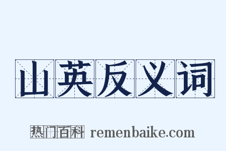 山英反义词是什么意思的图片